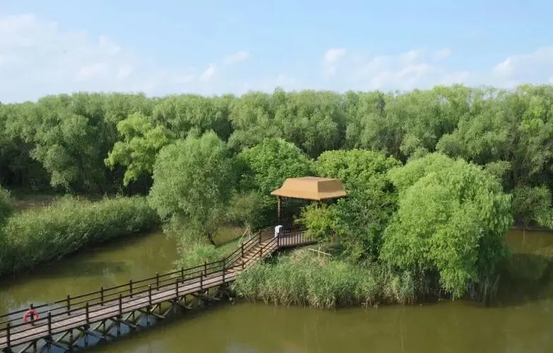 上海崇明西沙湿地把全国景区的饭碗给砸了