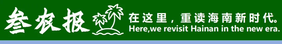 海南省旅游投资集团有限公司(正厅局级)组织架构与求职