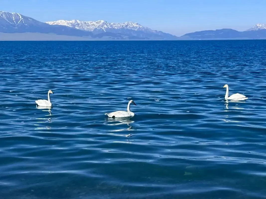 中国最适合带老婆逍遥的14个最美景区,去过一半,此生无憾