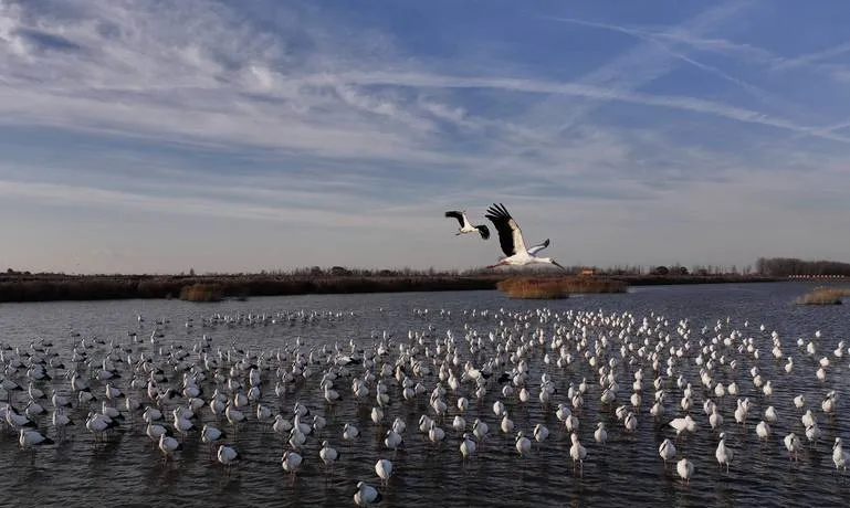 河北唐山曹妃甸区必去十大旅游景点,海港新城好玩的地方全在这里!