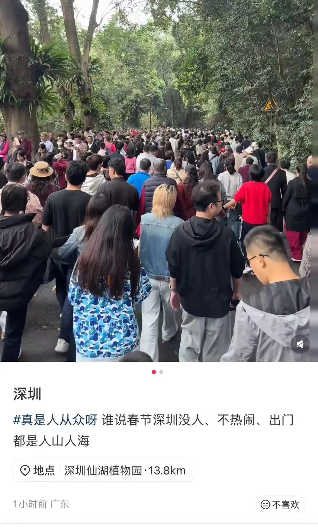 大年初一,深圳多个景区被挤爆