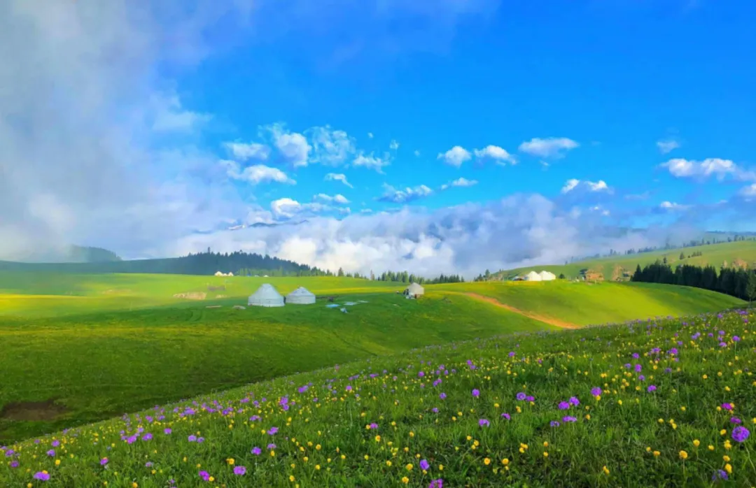 新疆阿克塔斯姑娘峰景区招聘公告