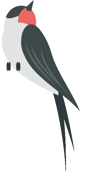 【2026年3月赏花季丨国内旅游线路推荐(第一期)】