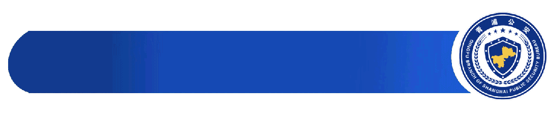 青浦警方全力守护马年新春期间热门商圈、景点安全有序