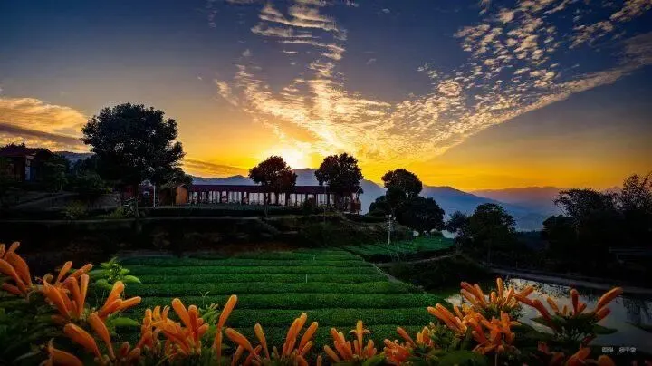 《中国旅游报》聚焦安溪:新春走基层 | 茶旅相融 安溪飘香