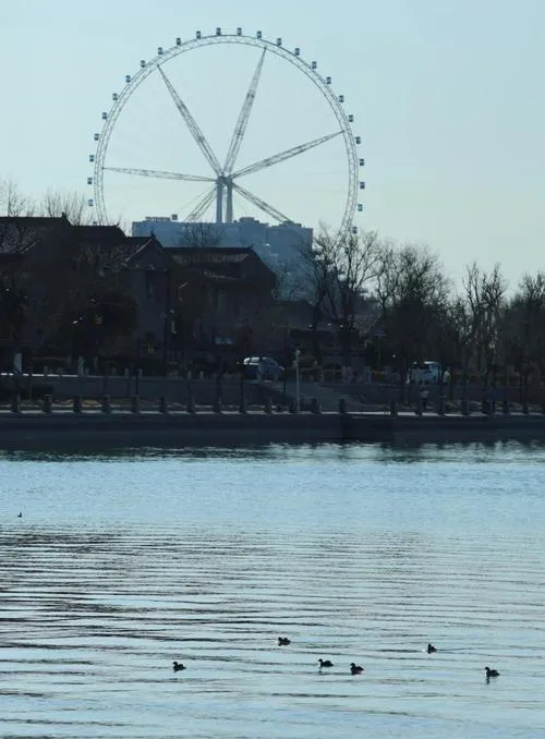 聊城2-3月旅游好去处冬天最美的10个景点周边自驾游一日游