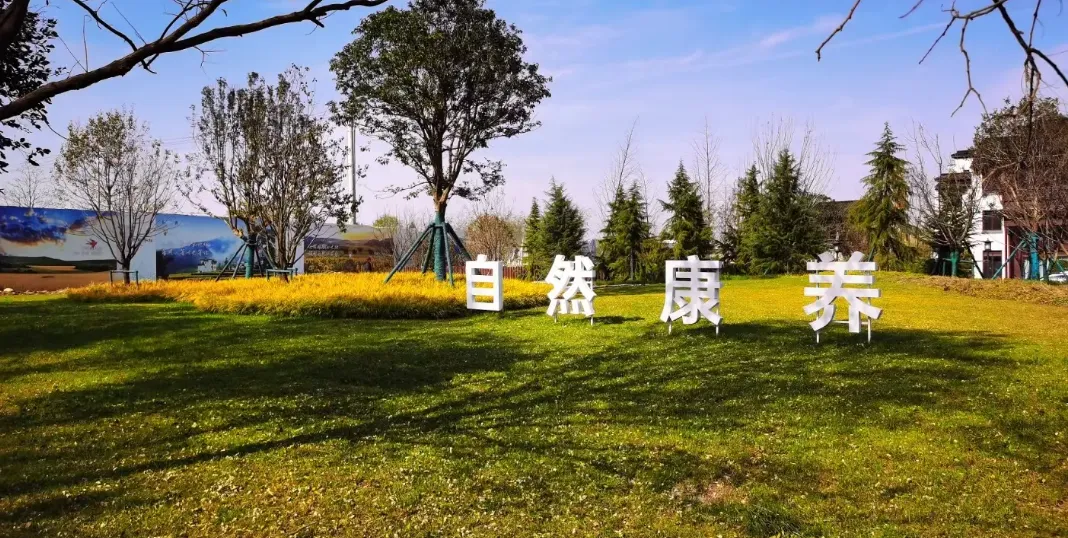 【乡村旅游】乡村“爆改”记:从闲置老宅到旅居康养胜地