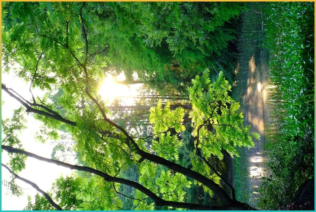 贵州的这处清新宜人的宝藏景点,风景如梦,似人间仙境,堪称高原山水的代表