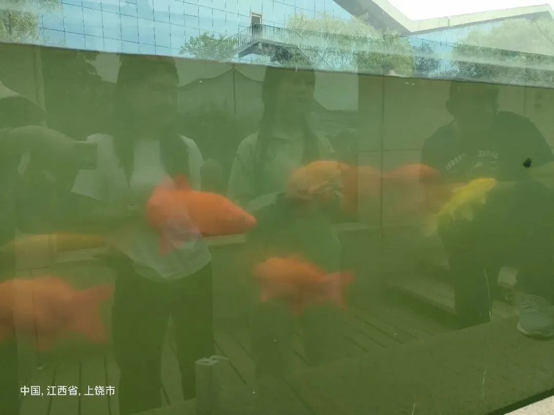 鸟的天堂——鄱阳湖白沙洲景区