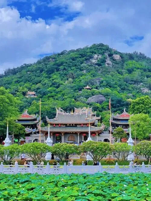厦门南普陀寺把全国景区的饭碗给砸了