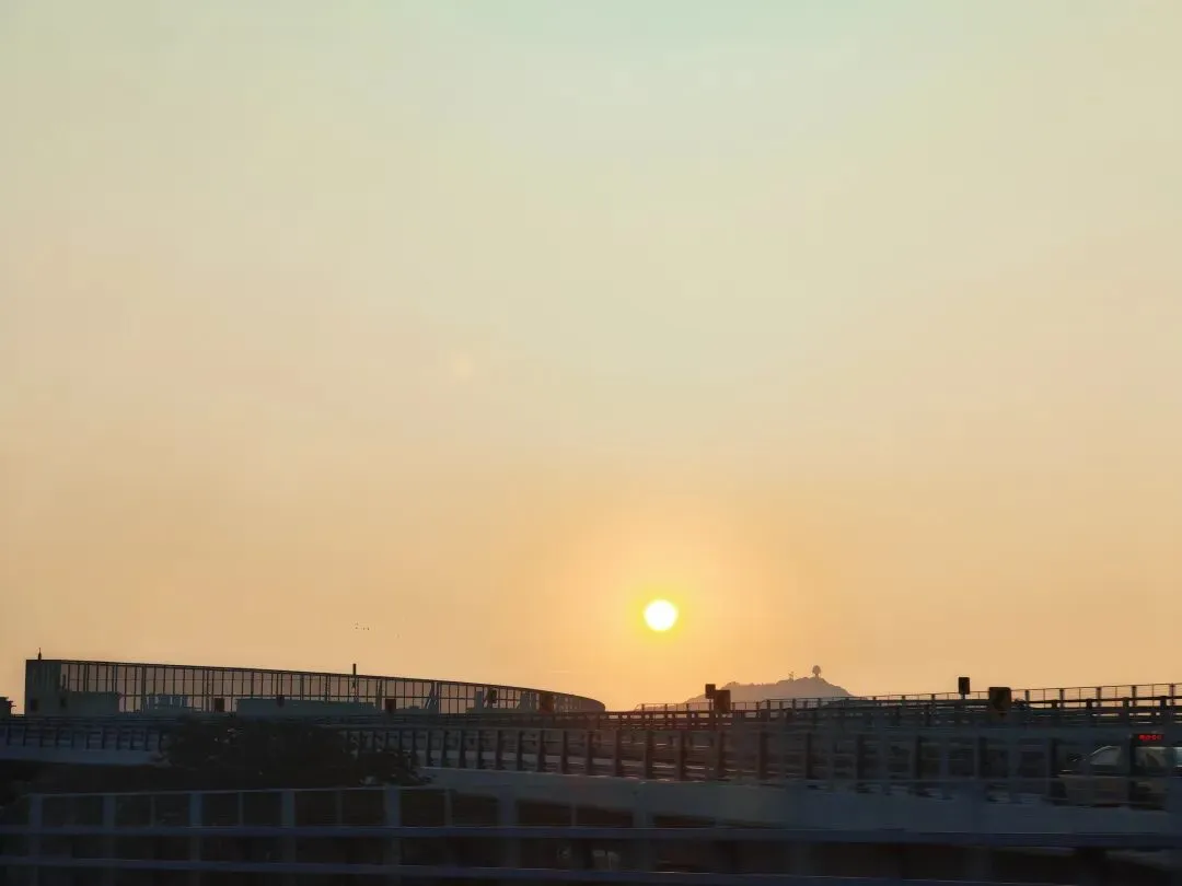 第一次去陌生的城市旅游,香港一日游适合攻略自由行还是跟团呢?