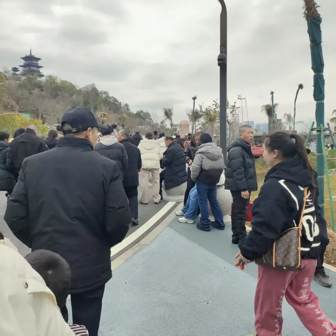 正月头,温州最疯狂的景区,看傻了!很多瑞安人去了!