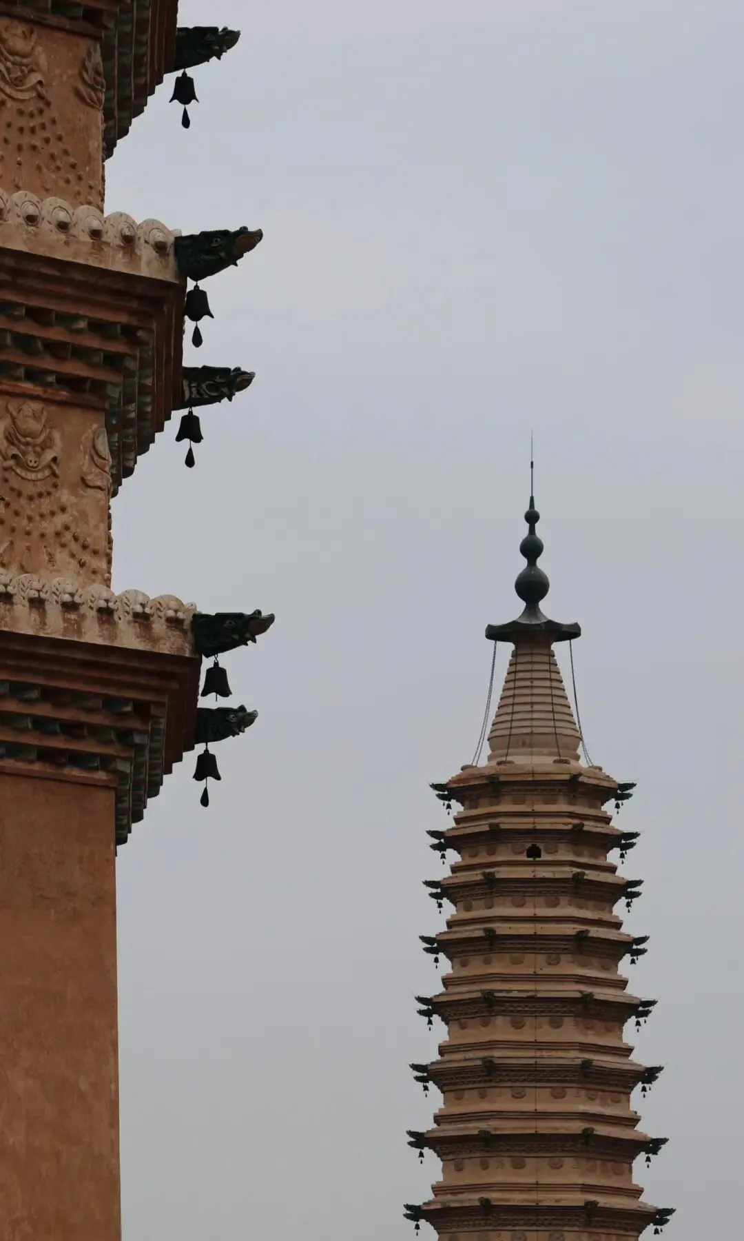 银川旅游已回,我的消费观崩塌了!!!