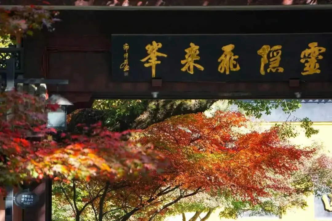 免费后的首个春节,杭州灵隐飞来峰景区进入“预约候补”模式