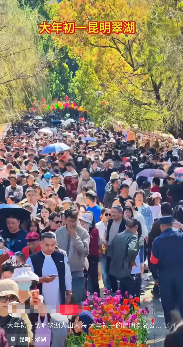 春节假期云南旅游市场火爆!已有景区限流→