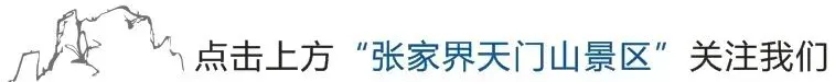 天门山景区2月21日限流公告