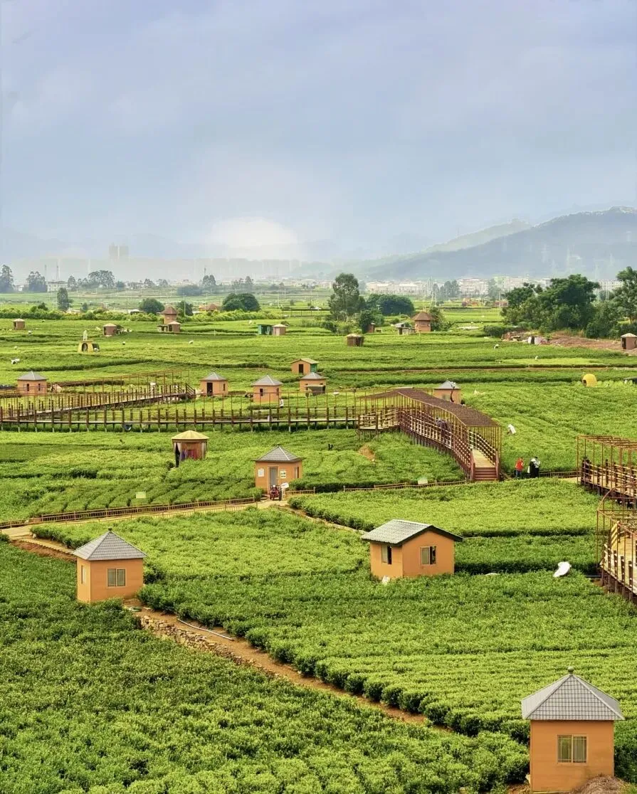 茉莉花城——横州旅游攻略