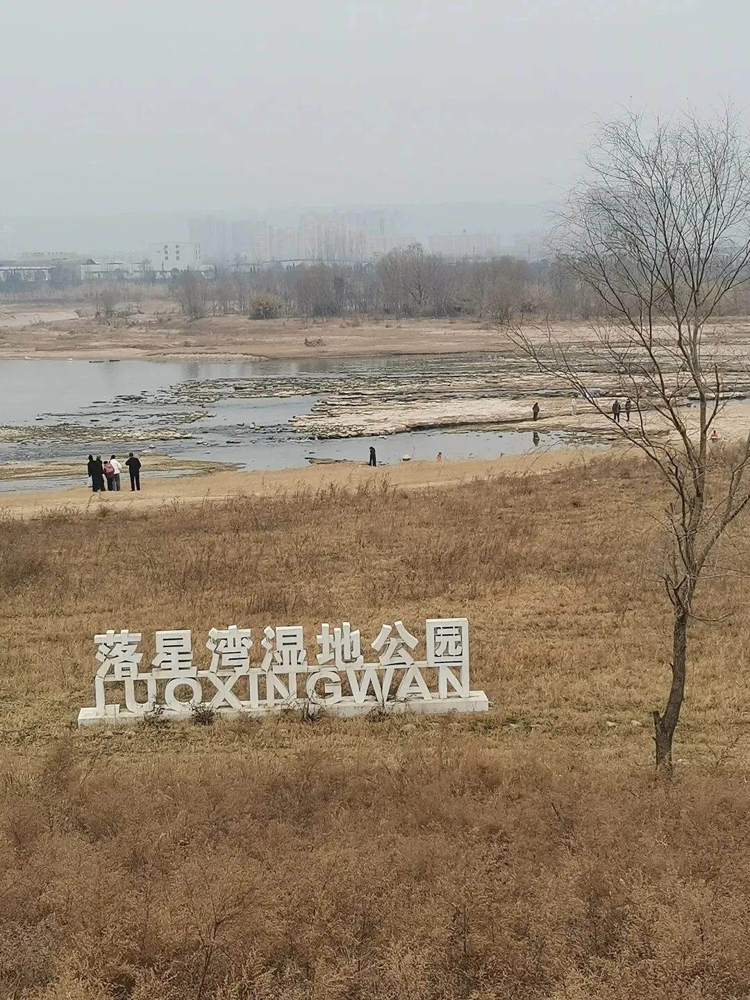 春节带娃,最好不要去景区