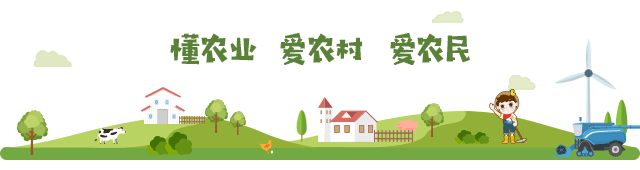 大年初三,“大同好粮”新春市集为古城旅游添年味