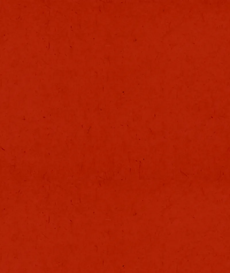 大年初三|赤狗日·宜静养!屏山景区祝您安然自在,岁岁无忧