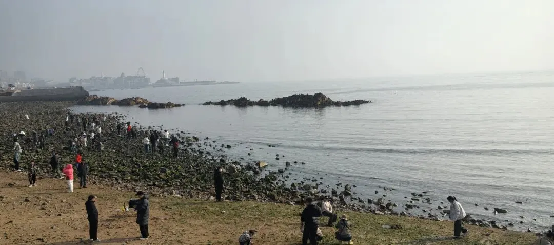 白菜姐姐生活记︱初三 打卡青岛网红景点小麦岛