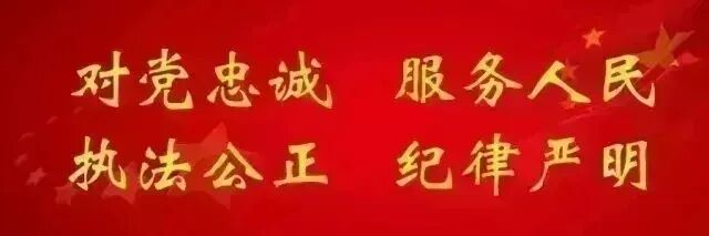 金湖公安敲黑板!景区停车别任性,文明出行从“停对车”开始~