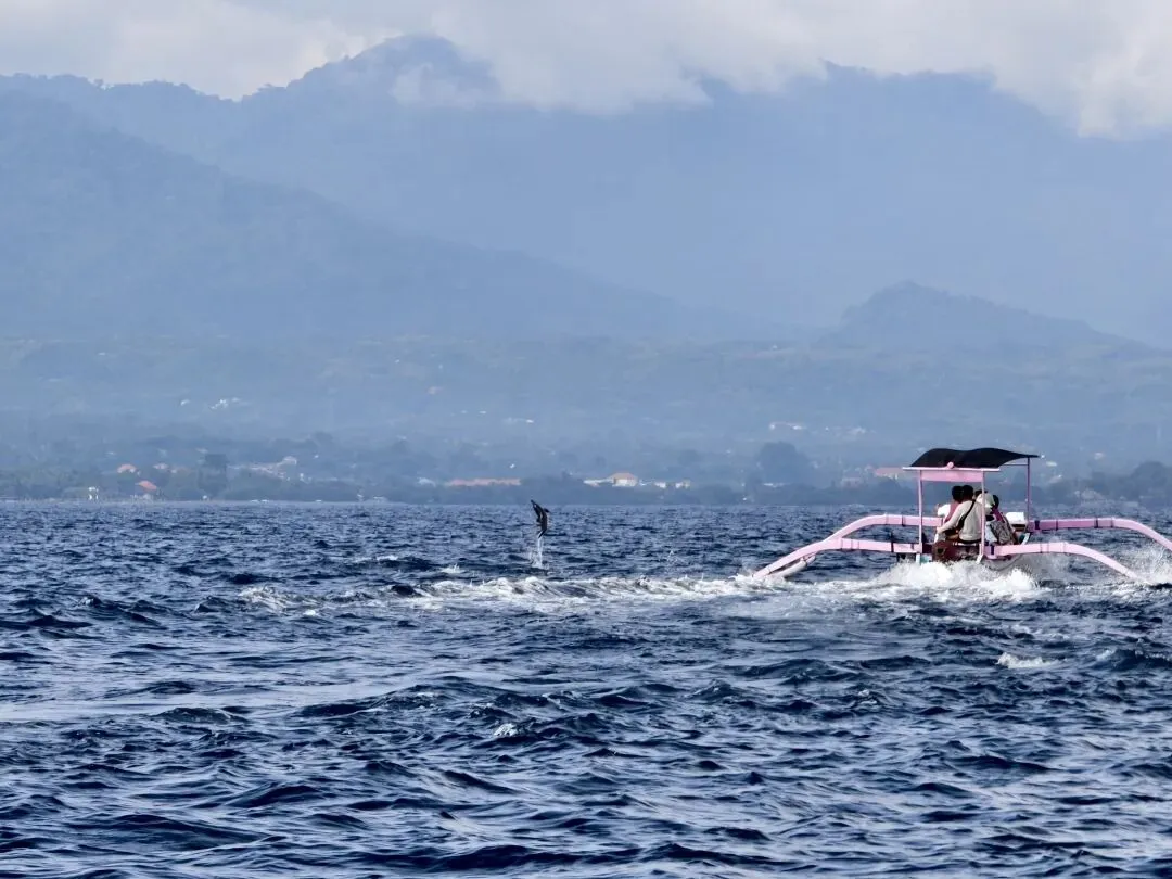 春节假期该不该出去旅游