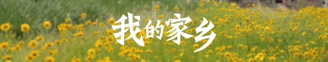 河南这些景区发布紧急通知