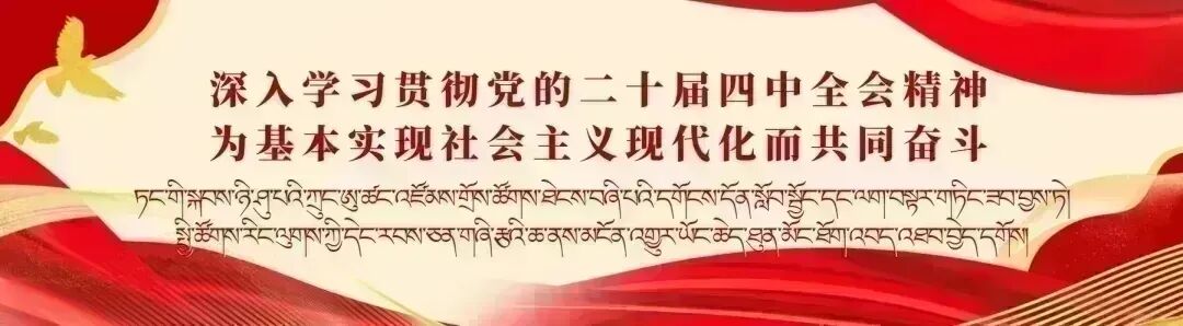 康马县文化和旅游局开展春节藏历新年期间旅游厕所专项检查