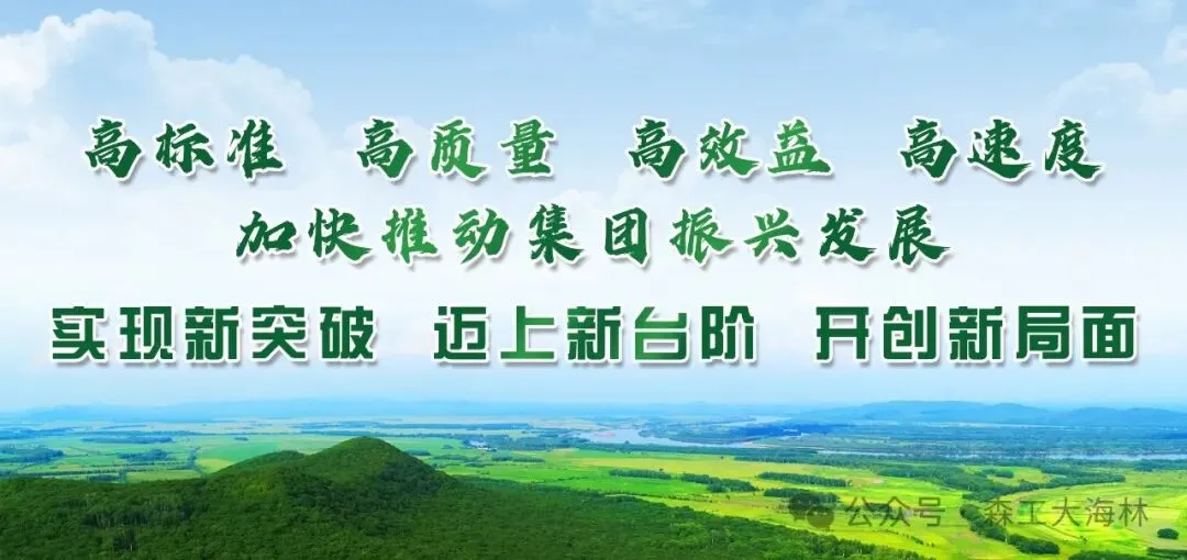 【产业富企】旅游公司观光车队:除夕收锦旗 寻物暖人心