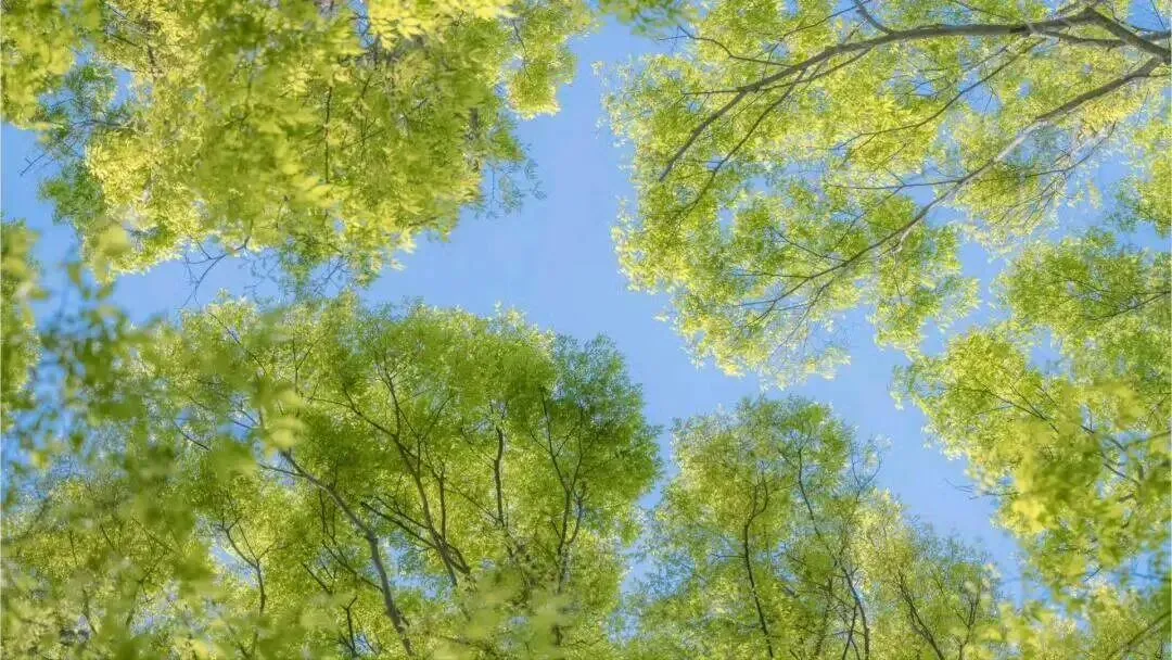 好多人趁着春节假期,悄悄去旅游了