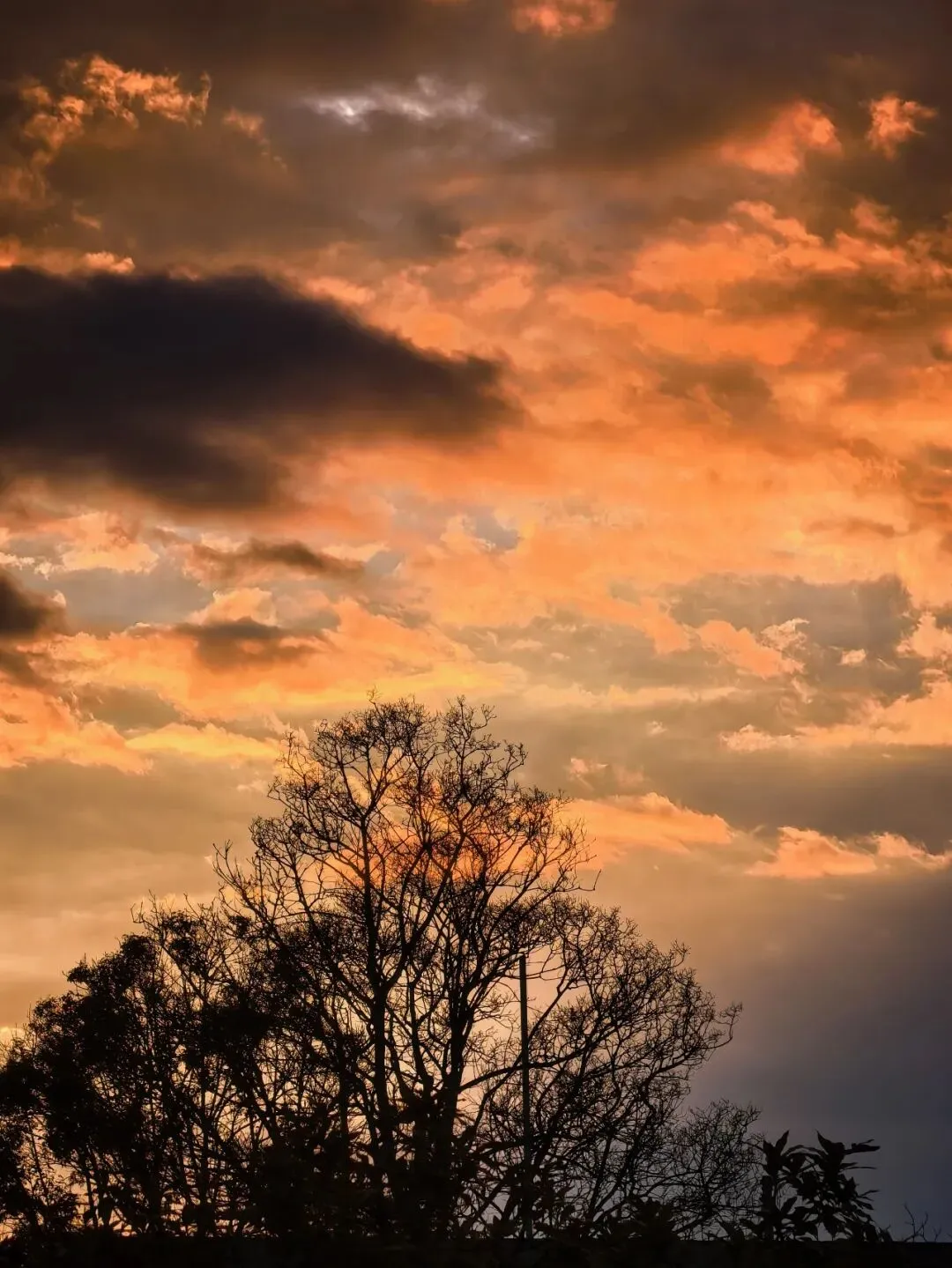 南美48天旅游日记(十六):D16 波哥大(哥伦比亚)