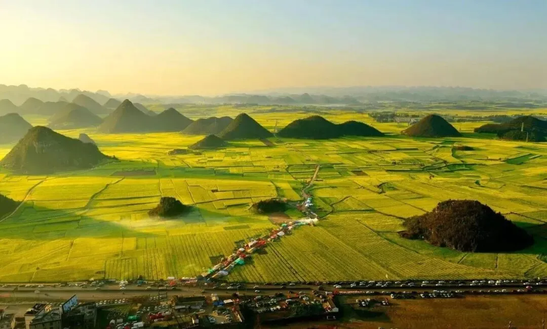 旅游攻略 | 2026云南罗平油菜花赏花攻略,花期、必打卡地、特色美食一篇搞定