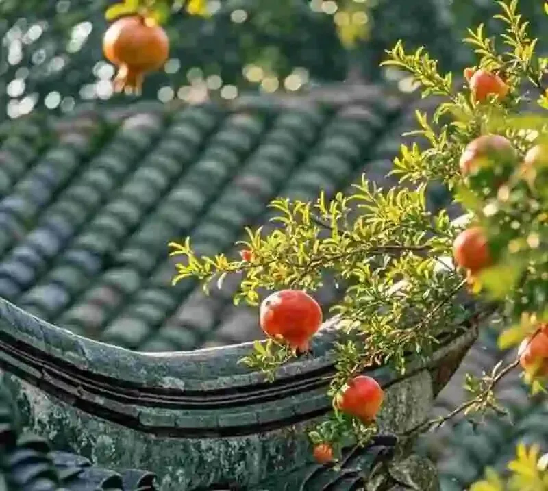 60岁前,一定要去的中国这3个5A景区,去过1个便觉景在眼里,暖在心里