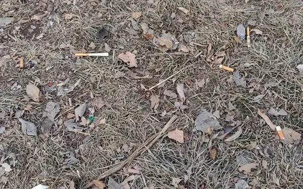 文明旅游反面曝光丨春节假期,莫让这些不文明行为成佳节“污点”!