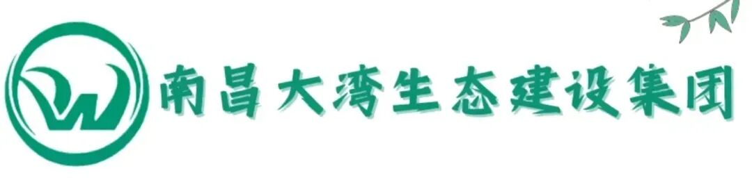 何毅实地察看春节期间景区运行情况