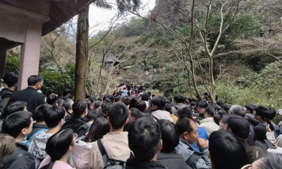 温州知名景区被疯狂吐槽!游客太崩溃!