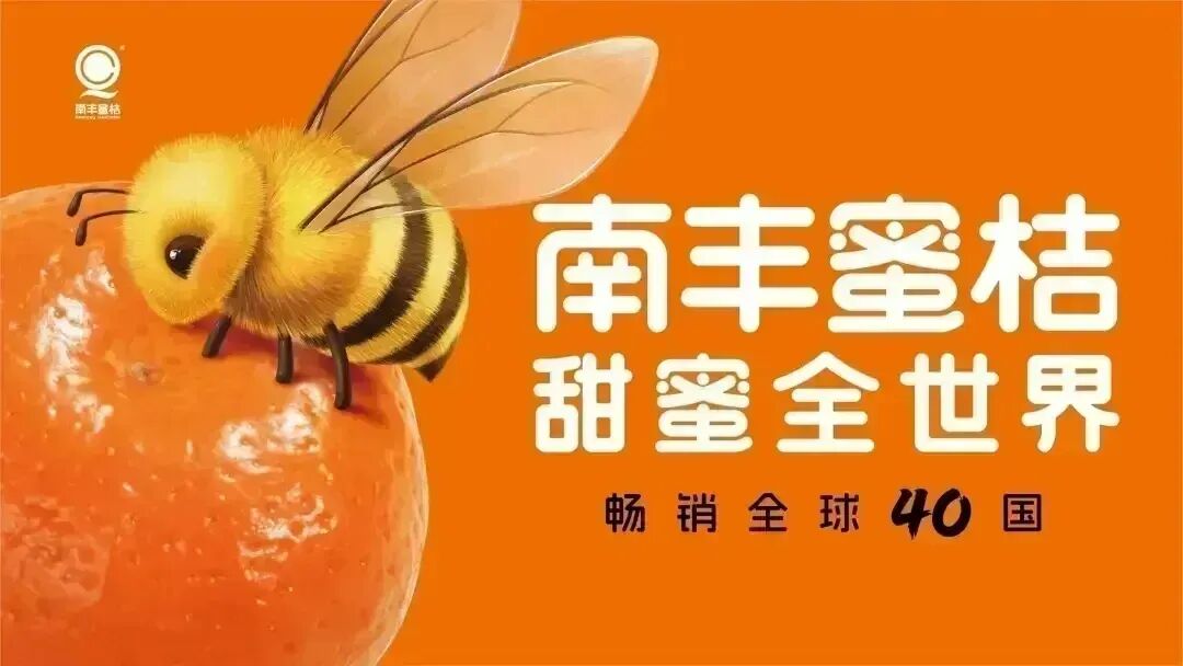 南丰:春节文旅升温 景区游人如潮