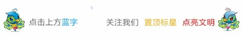 擦亮景区“登山道” 洁净护航“新春游”——勐焕街道开展大金塔步道环境卫生集中整治行动