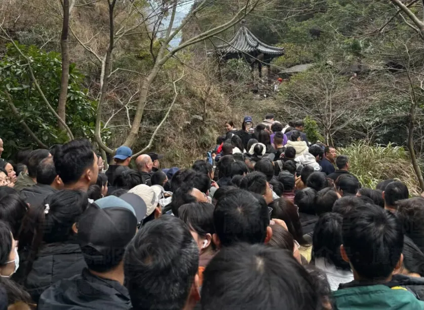为什么消费降级了,景区却人山人海游客爆棚?
