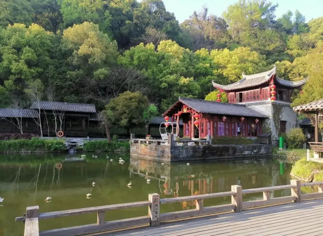 江西江湾把全国景区的饭碗给砸了