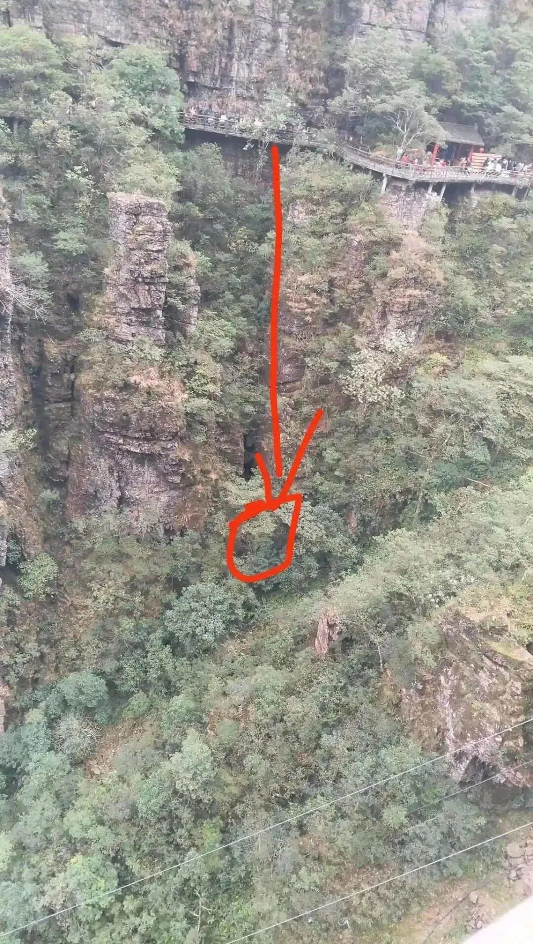 揪心!10岁男孩在贵港北帝山景区游玩时坠崖,致多处骨折,部门回应:已督促整改