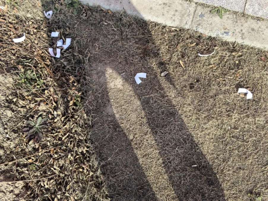 文明旅游·反面曝光|春节出游热度高,文明莫忘脚下路