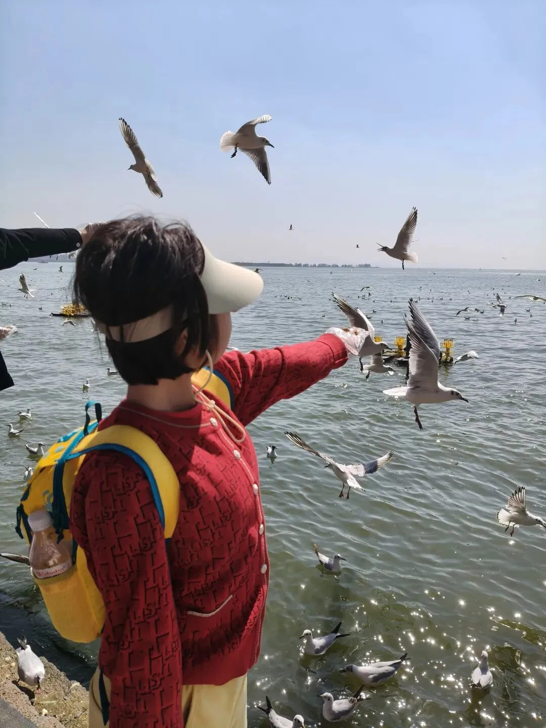 春节带娃挤景点,到底图什么?