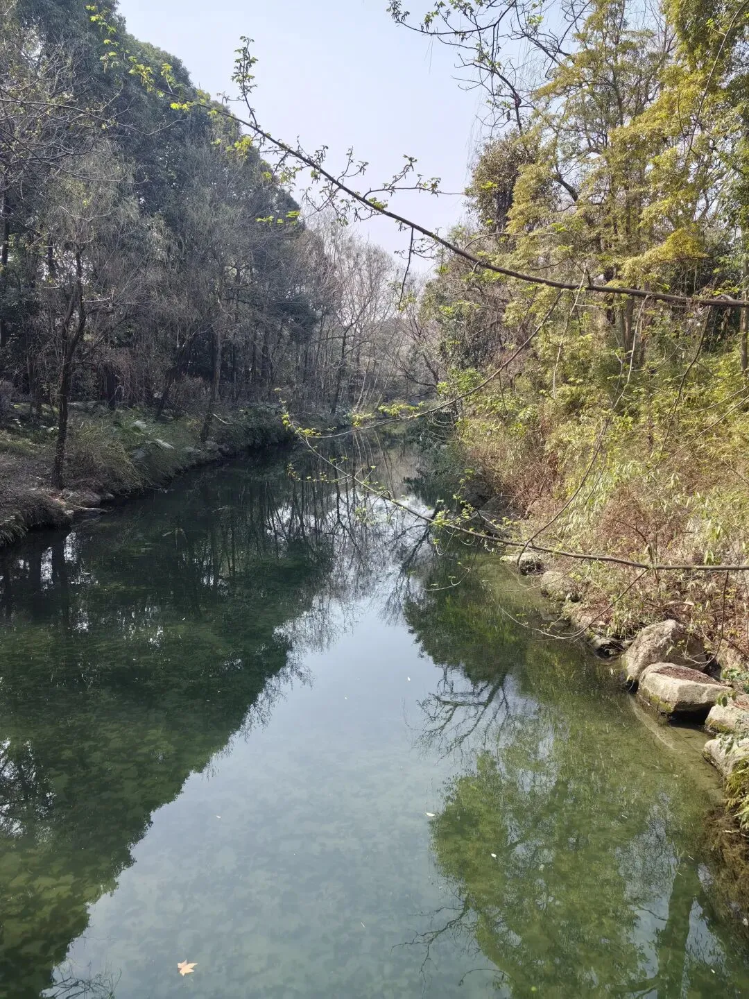 去成都旅游,吃川博食堂