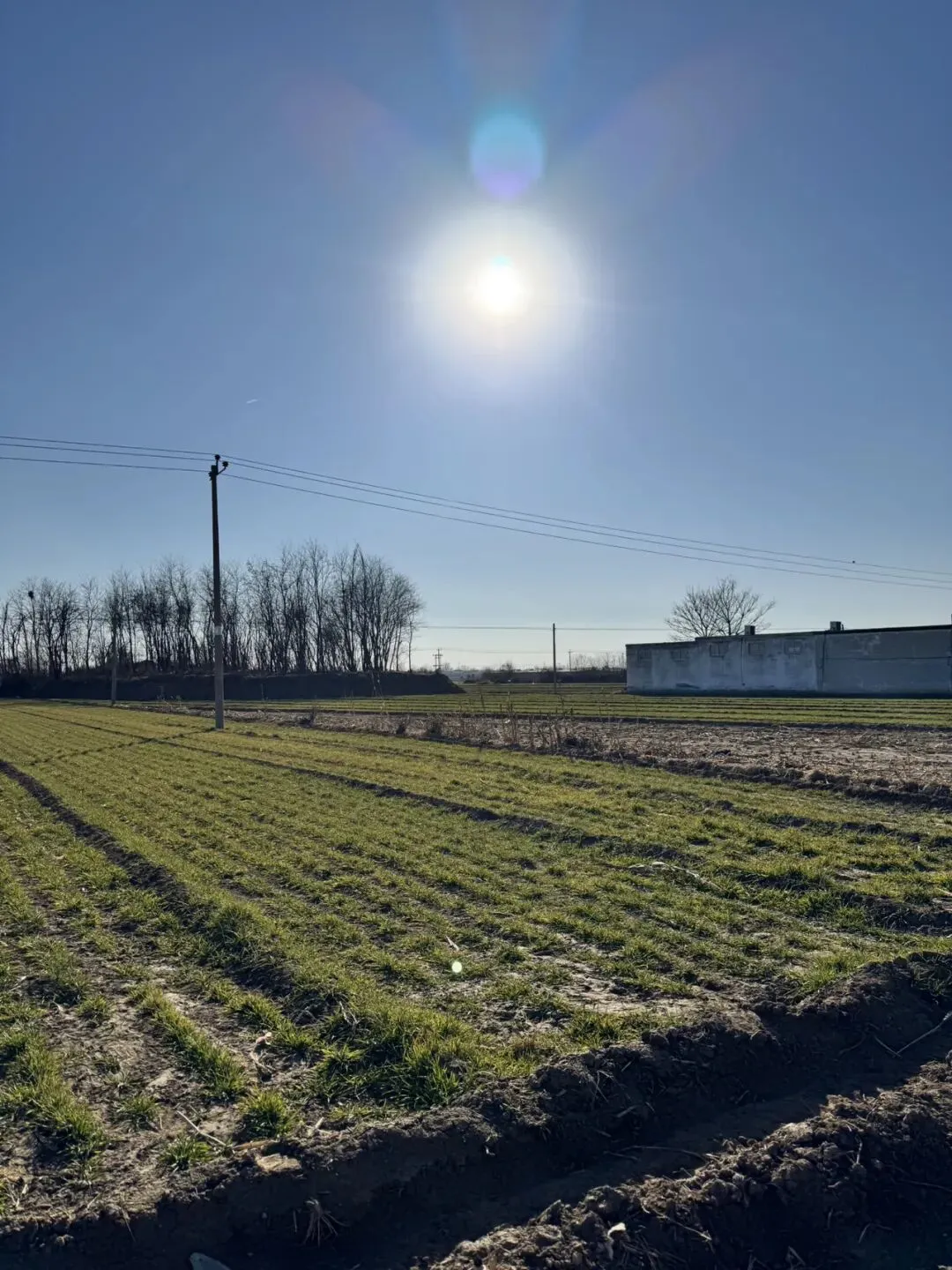 打工人春节终极攻略:回老家+旅游,只花一份钱,解锁双倍快乐