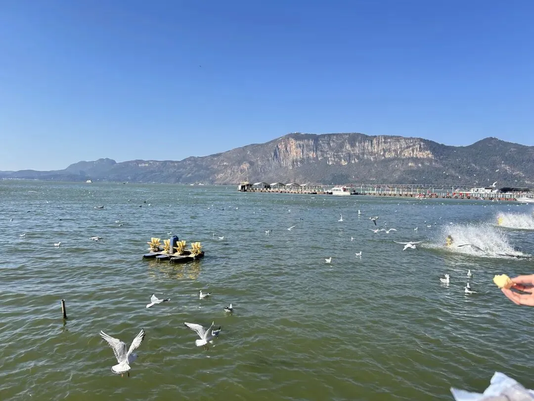 旅游过年成为春节新形式