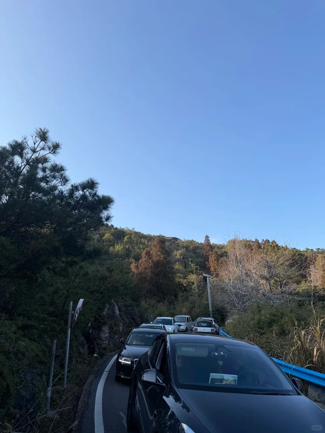 温州网红景区挤爆了!连续2天限流