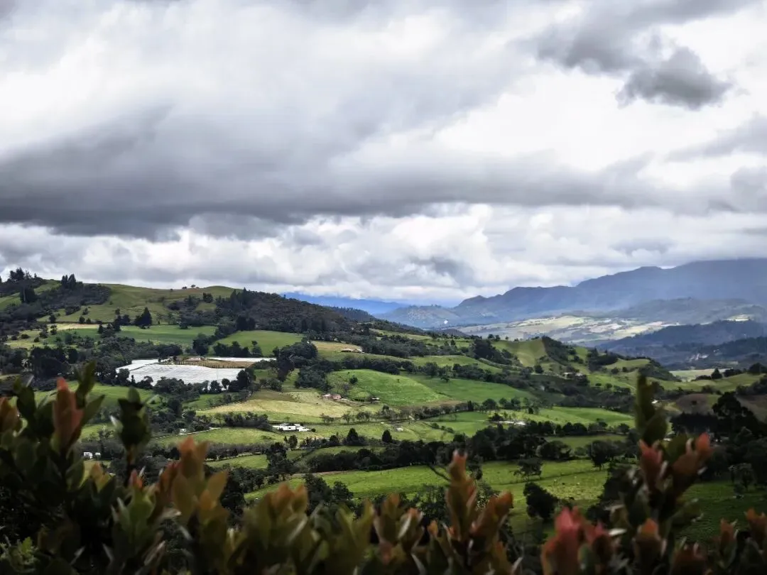 南美48天旅游日记(十七):波哥大(二)