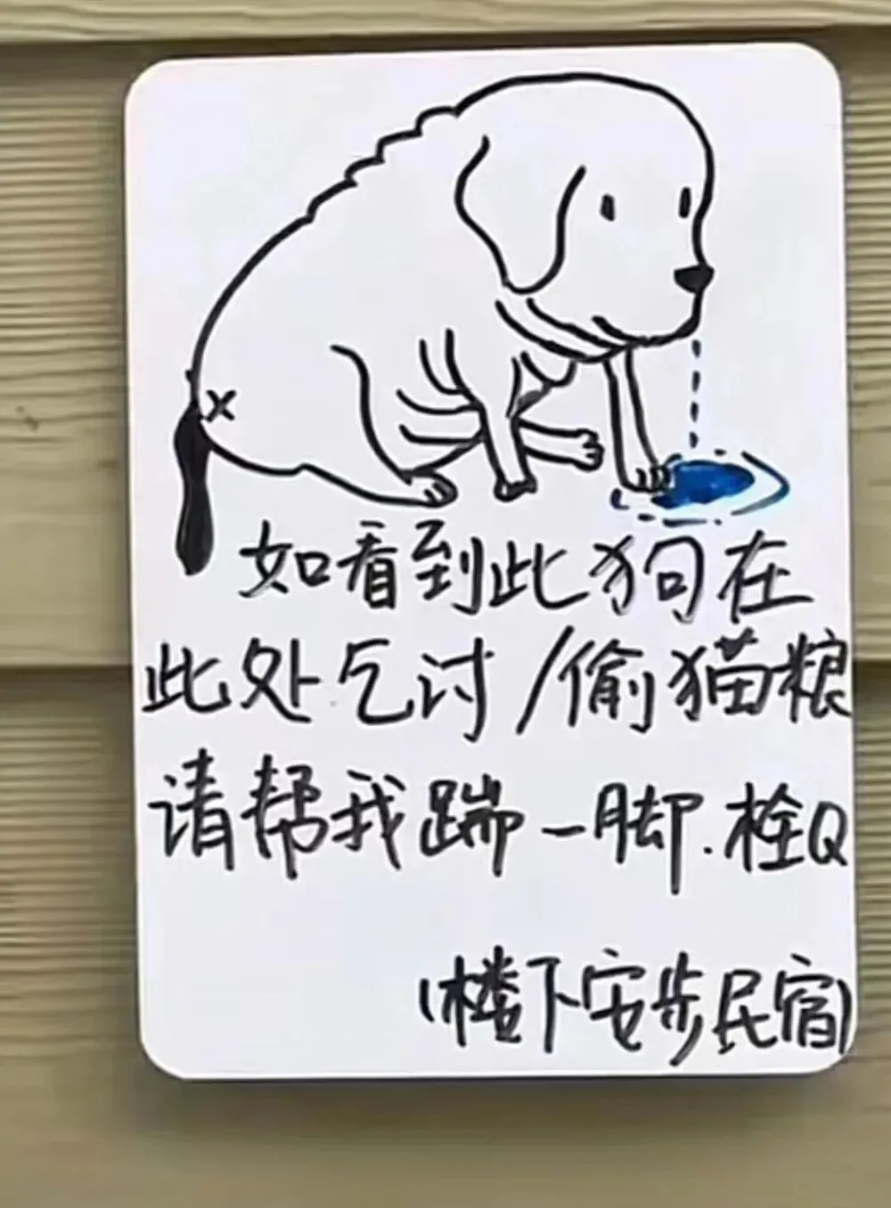 网友旅游时看到一家店门口贴得告示,瞬间笑喷,也太可爱啦!